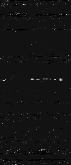 MTVZA-7.png